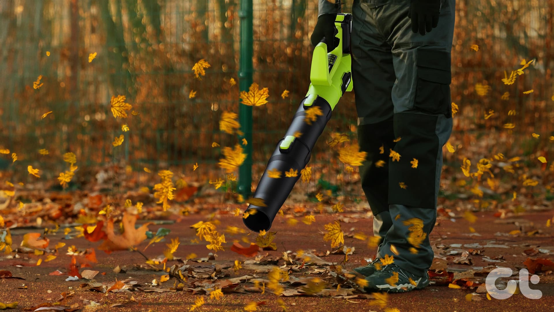 Best Leaf Blowers to Buy This Fall