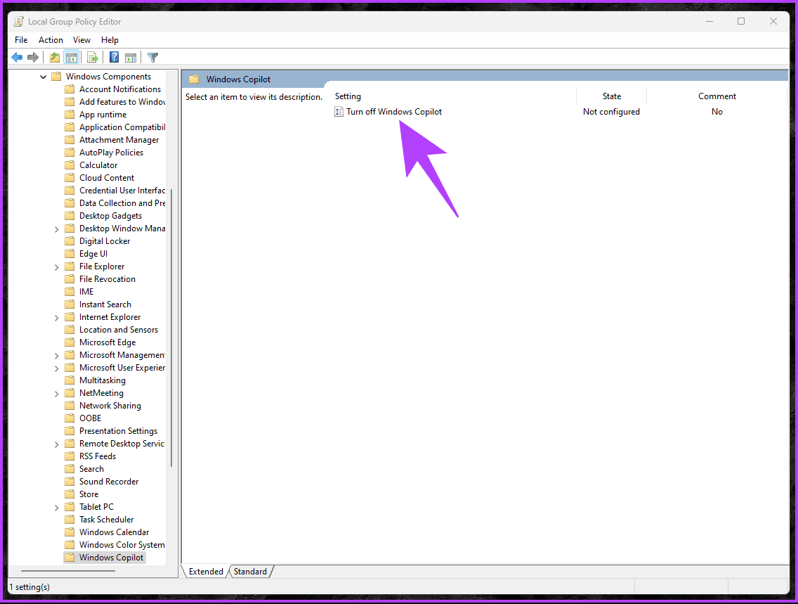 double click on Turn off Windows Copilot