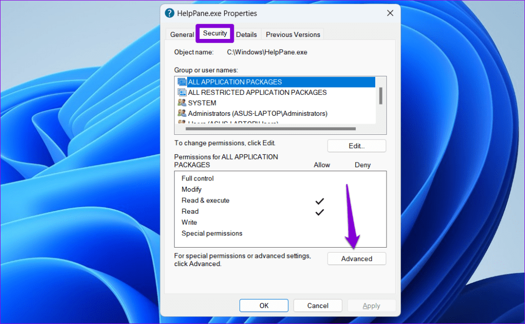 HelpPane Advanced Settings