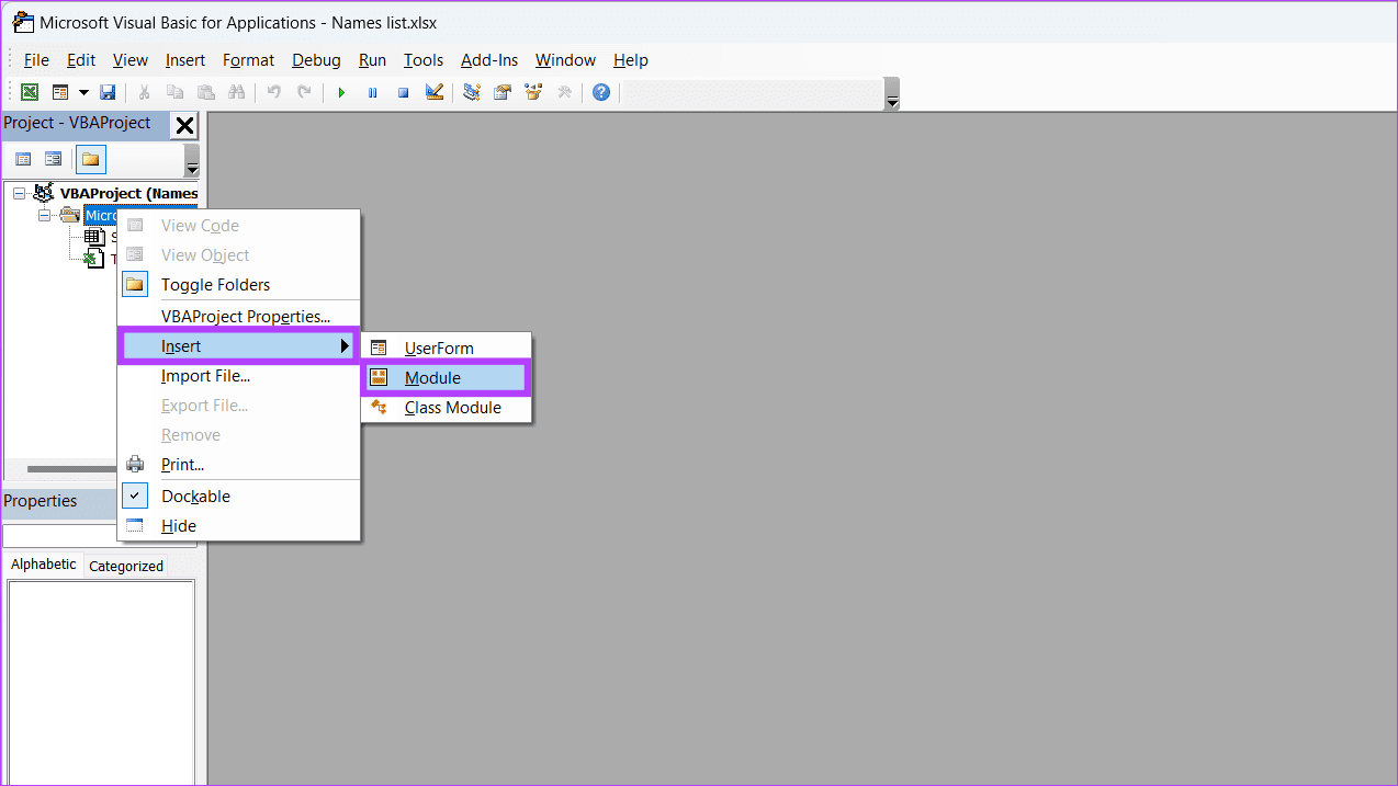 odule insert in VBA